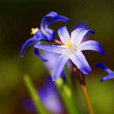 半岛棋牌游戏手机app下载