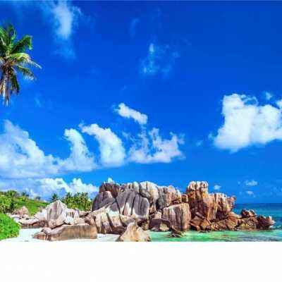 三亿体育下载手机版